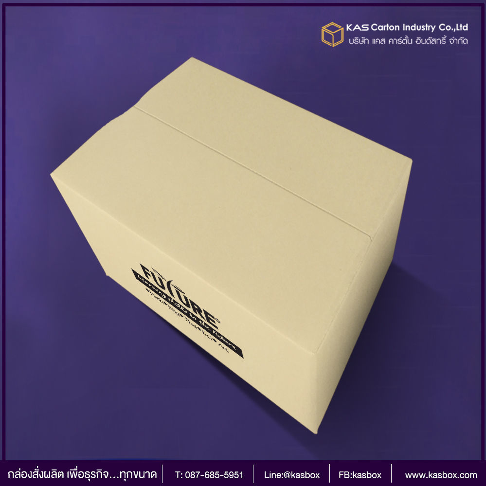 กล่องกระดาษใส่อาหาร กล่องสินค้าเบ็ดเตล็ด Futureขนาด 9 x 12 x 6 inches.รูปแบบกล่อง ฝาชนกล่องหนา 3 ชั้น ลอน Cสีกล่อง 125KI/ด้านใน CAพิมพ์ 1 สีรหัสสินค้า  1947-01-PM01-01